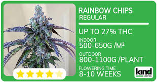 Premium Quality Weed Seeds for Sale - Your Gateway to Success
