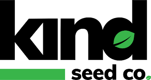 Premium Quality Weed Seeds for Sale - Your Gateway to Success